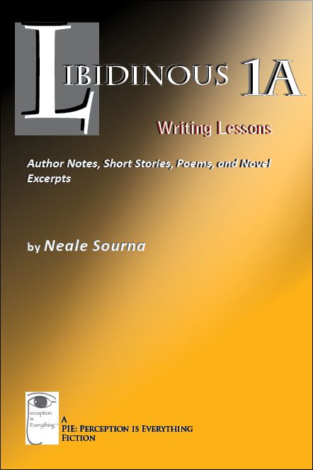 book cover Libidinous 1A - Writing Lessons: Author Notes, Short Stories, Poems, and Novel Excerpts